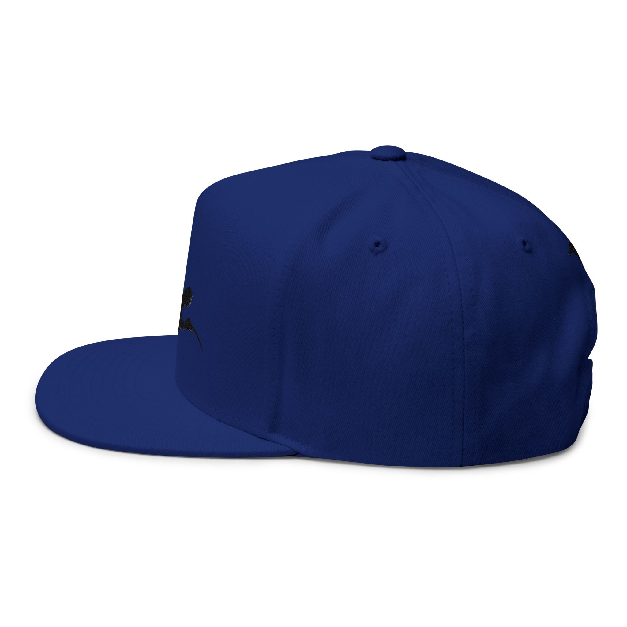 Embroidered Flat Bill Cap
